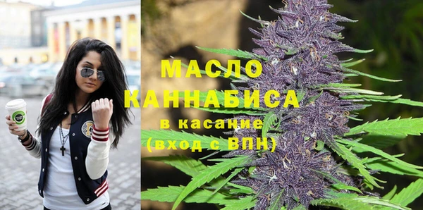 хмурый Бородино